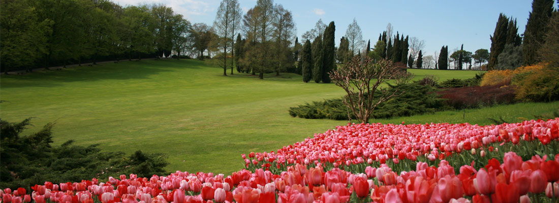 tulipani parco giardino sigurta