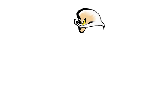L'Isolo bed and breakfast